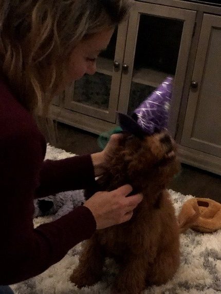 Puppy not wanting to wear his witch hat
