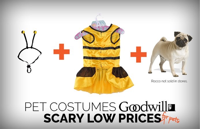 Goodwill Halloween Dog Costume